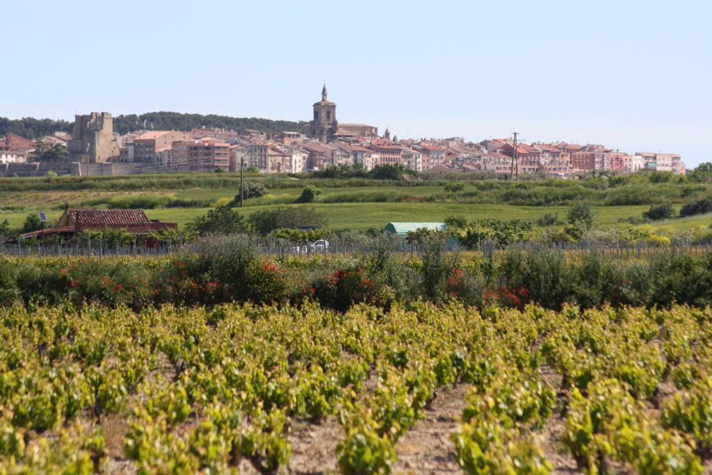 산티아고 순례길 자전거 여행. Paisaje La Rioja