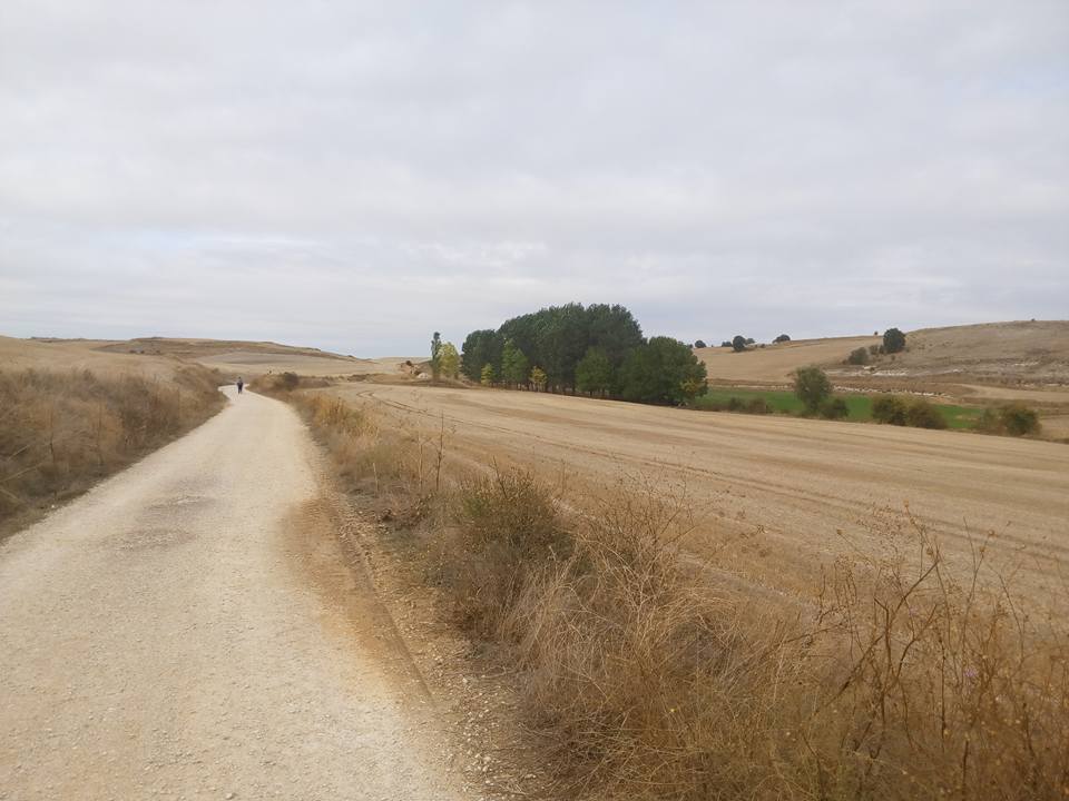 Archives Camino De Santiago